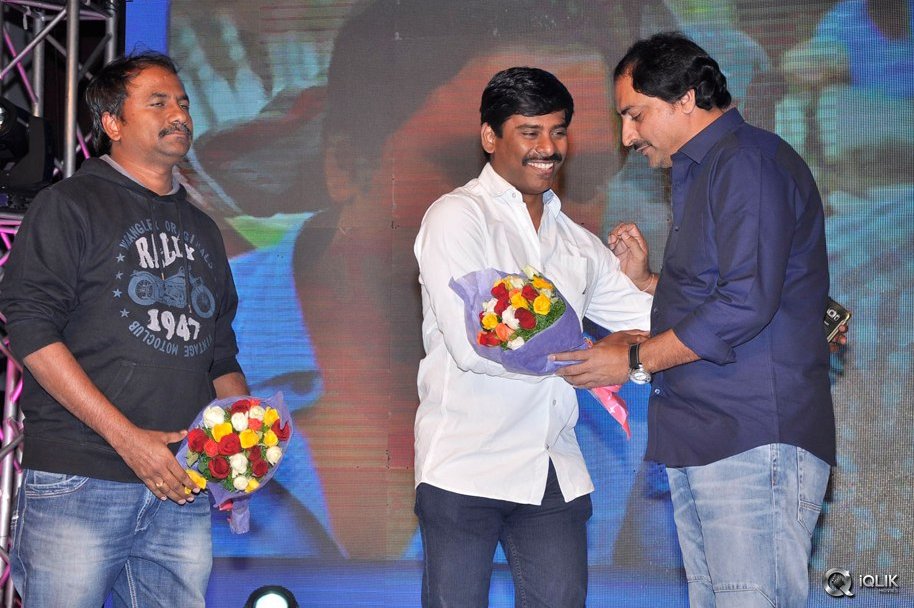 Seethamma-Andaalu-Raamayya-Sithraalu-Movie-Audio-Launch